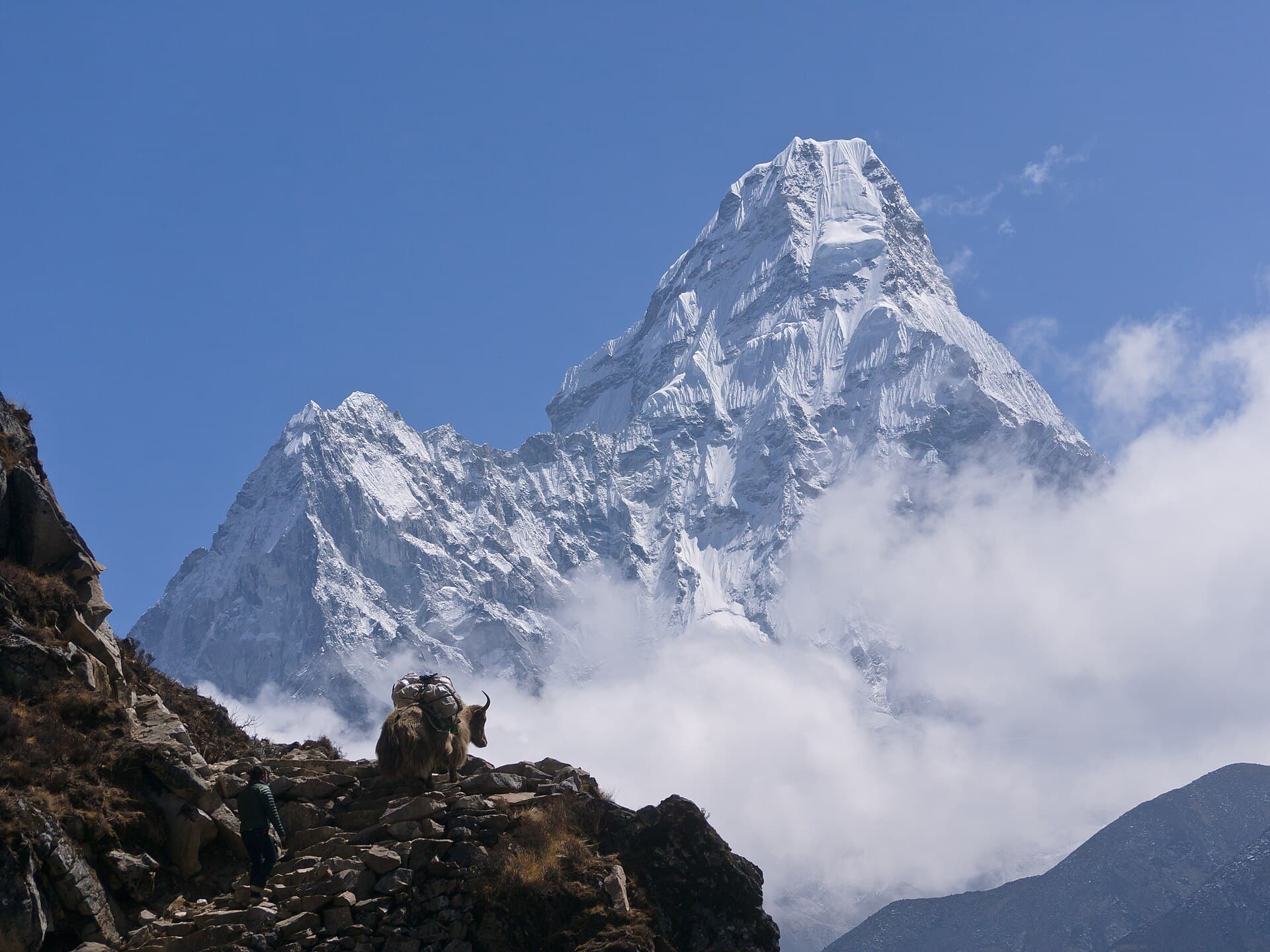 Annapurna Circuit vs Everest Base Camp: Which Trek Should You Choose?