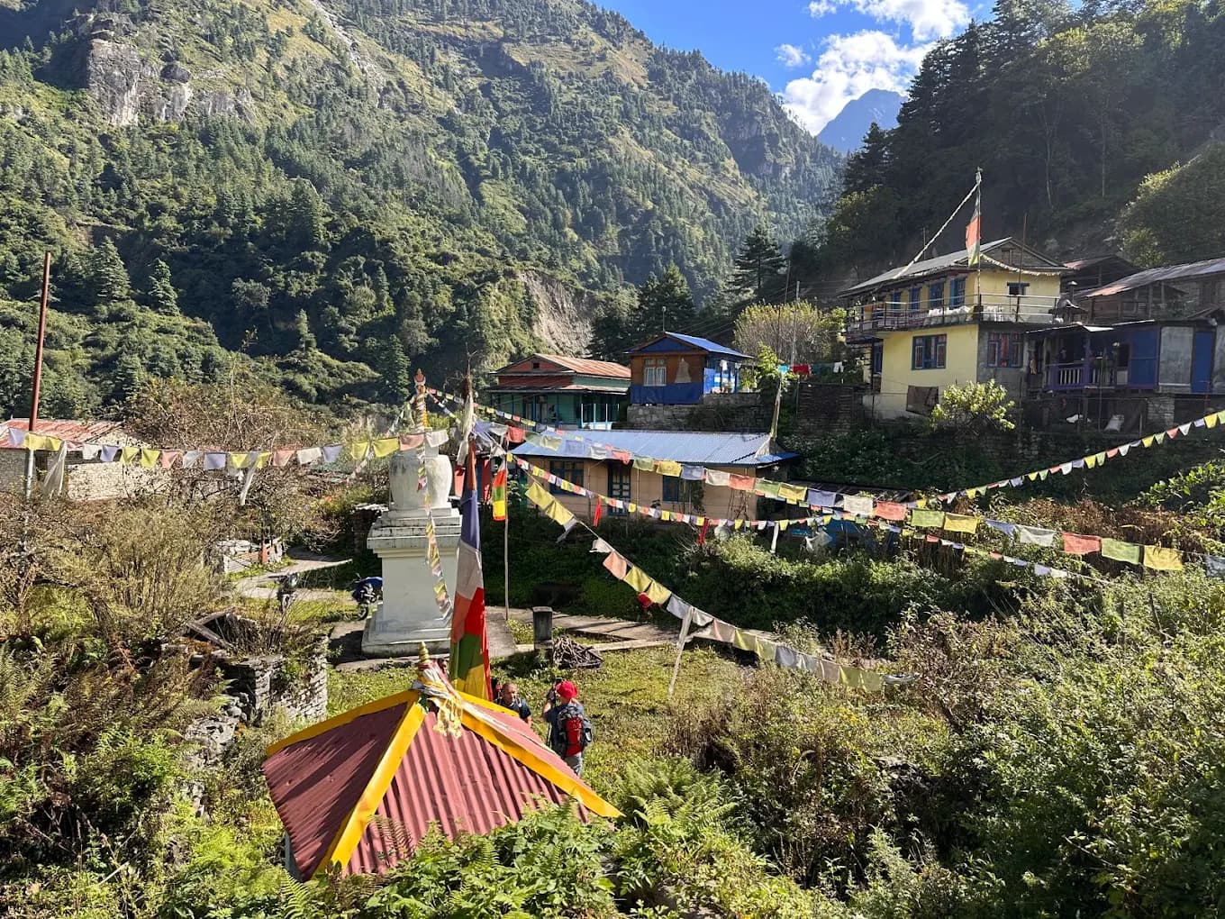 Nepal Trekking Permits & Rules Explained: TIMS, Guides, and What's Changed