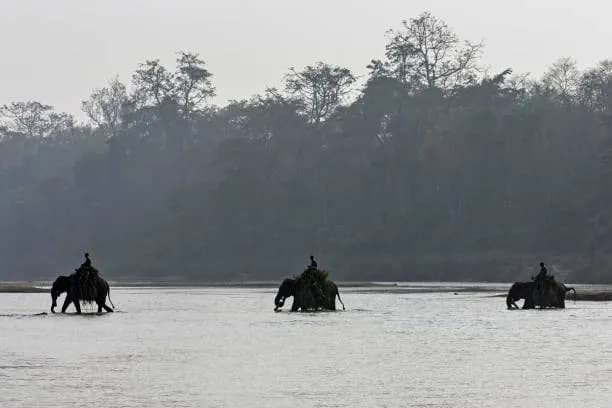 Elephant safari, Chitwan National Park