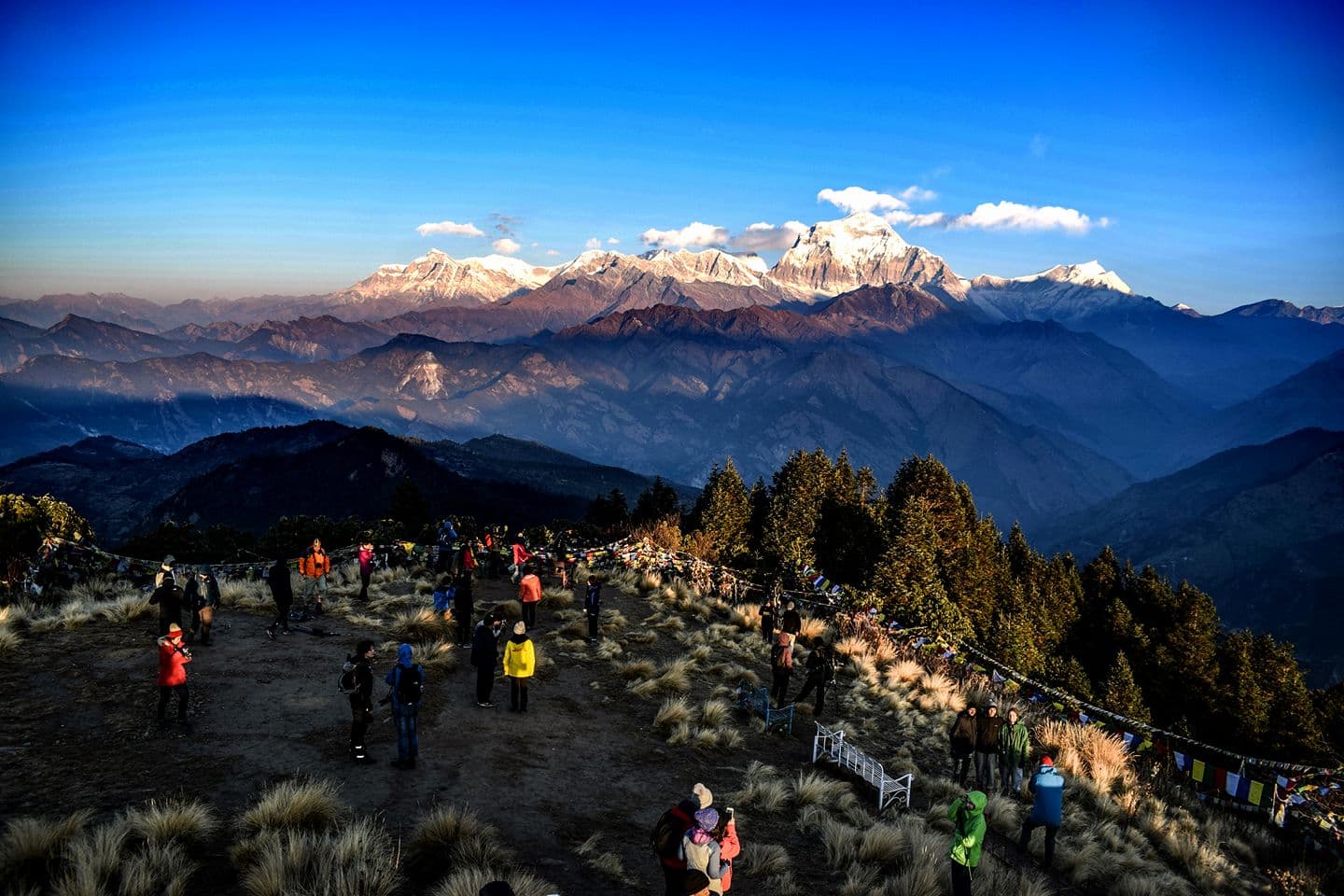 Poon Hill